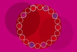 SILKE MAYER PHOTOGRAPHY . stills. visual direction. digital art