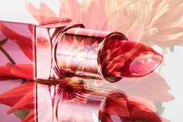 SILKE MAYER PHOTOGRAPHY . stills. visual direction. digital art