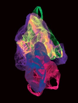 SILKE MAYER PHOTOGRAPHY . stills. visual direction. digital art