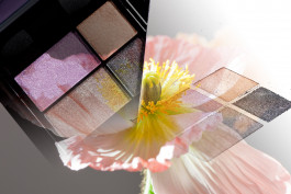 SILKE MAYER PHOTOGRAPHY . stills. visual direction. digital art