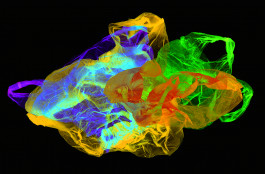 SILKE MAYER PHOTOGRAPHY . stills. visual direction. digital art