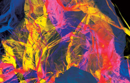 SILKE MAYER PHOTOGRAPHY . stills. visual direction. digital art