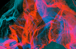 SILKE MAYER PHOTOGRAPHY . stills. visual direction. digital art