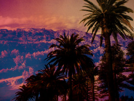 fine art photography - colours of memories - oasis