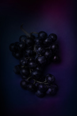 SILKE MAYER PHOTOGRAPHY . stills. visual direction. digital art