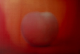 SILKE MAYER PHOTOGRAPHY . stills. visual direction. digital art